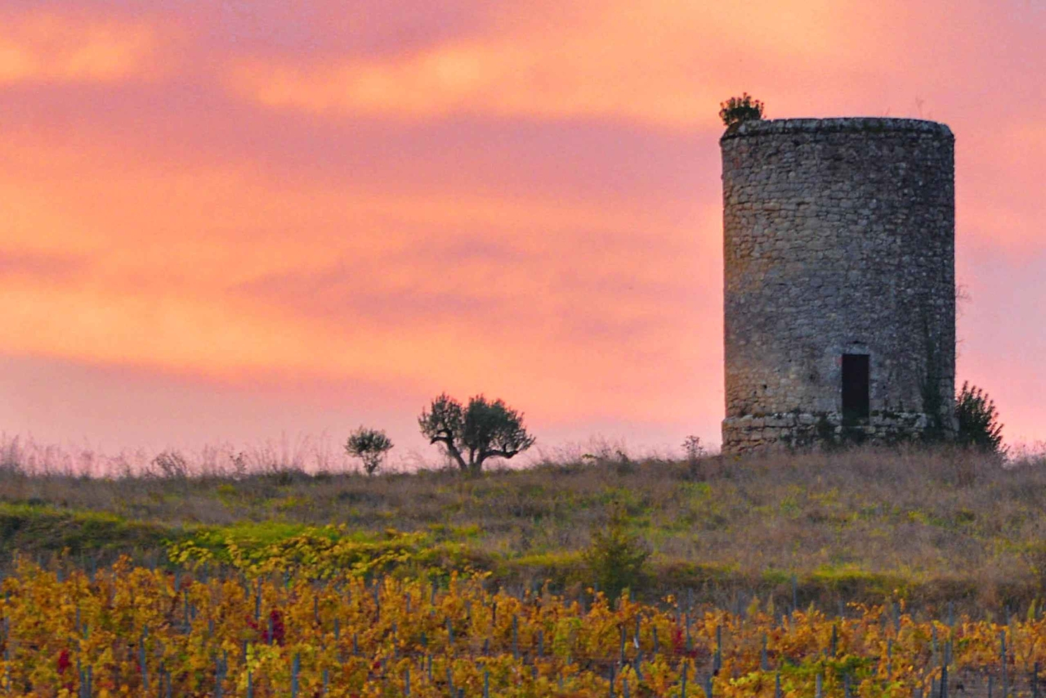ラ・クロゼリー・ド・フロンサック：クラシックワインの試飲ツアー