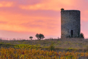 La Closerie de Fronsac : visite et dégustation de vin