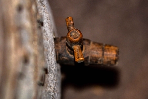 ラ・クロゼリー・ド・フロンサック：クラシックワインの試飲ツアー
