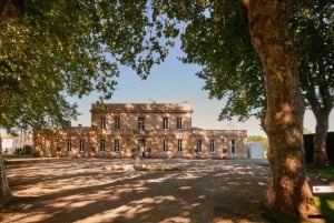 Margaux - Eksklusiv smagning af 6 vine