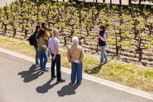 メドック午後のワインツアー、2つのワイナリー、試飲と美味しい料理