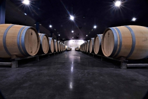 Medoc Afternoon Wine Tour, 2 vingårdar, provsmakningar och delikatesser