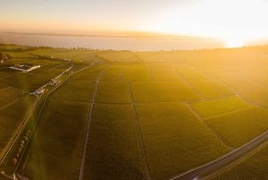 Medoc i Libournais (lewy i prawy brzeg)