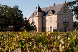 Medoc Tour : Margaux, Saint Estèphe and greediness