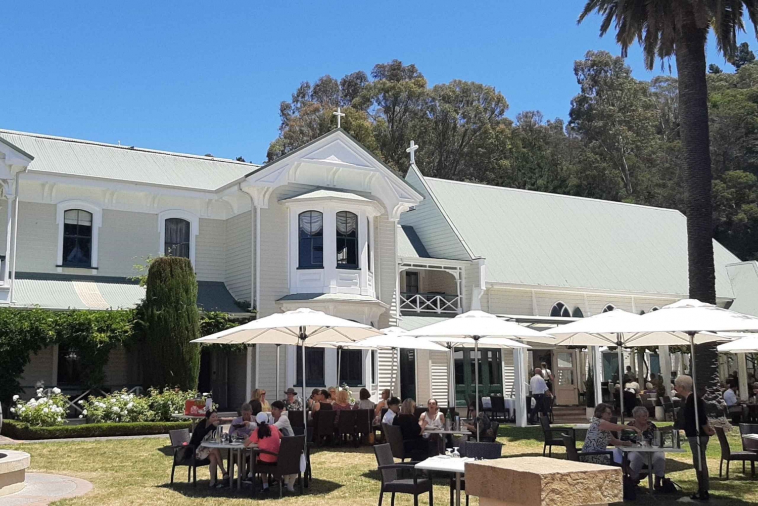 Napier: Wine & Gin Tasting Tour with Tastings Fees & Pickup
