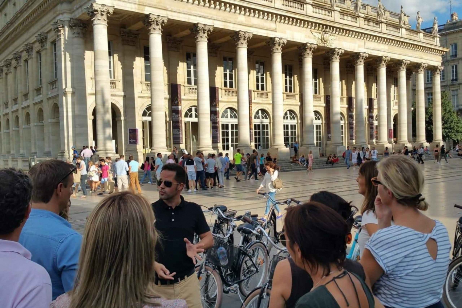 Panoramatur i Bordeaux i premiumfordon med guide