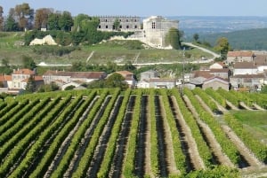 Private Tour: Craft Distilleries in Cognac Vineyards