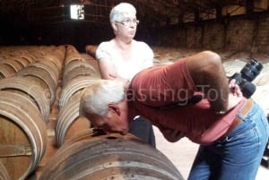 Privat tur: Destillerier i Cognac sine vingårder