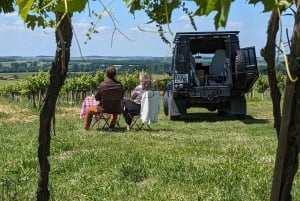 Private tour Day in the heart of the Cognac vineyards