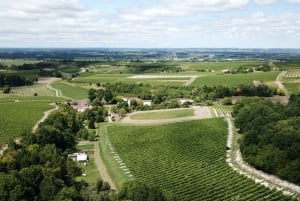 Private tour Day in the heart of the Cognac vineyards