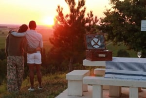 Private tour Day in the heart of the Cognac vineyards