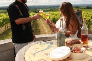 Private tour Day in the heart of the Cognac vineyards