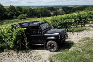 Private tour Day in the heart of the Cognac vineyards