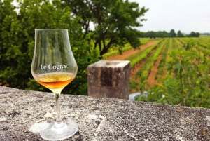 Private Tour: The Cognac; a Luxury and Terroir Product