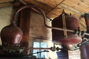 Private Tour: The Cognac; a Luxury and Terroir Product