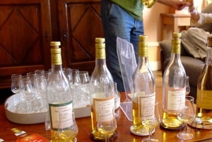 Private Tour to Cognac from Saintes, Angouleme (from Paris)