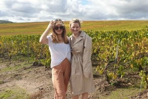 Private wine tour to Bordeaux - 2 days - From Paris