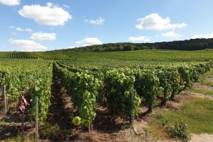 Private wine tour to Bordeaux - 2 days - From Paris