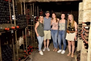 Erkunde Saint-Émilion mit dem E-Bike: Kleingruppentour, Halbtagestour