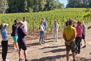 Erkunde Saint-Émilion mit dem E-Bike: Kleingruppentour, Halbtagestour