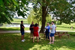 Erkunde Saint-Émilion mit dem E-Bike: Kleingruppentour, Halbtagestour