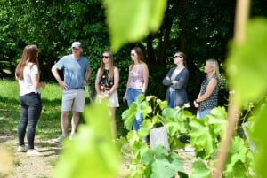 Erkunde Saint-Émilion mit dem E-Bike: Kleingruppentour, Halbtagestour