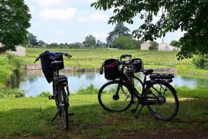 Erkunde Saint-Émilion mit dem E-Bike: Kleingruppentour, Halbtagestour