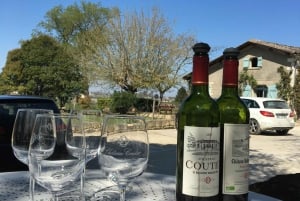 Erkunde Saint-Émilion mit dem E-Bike: Kleingruppentour, Halbtagestour