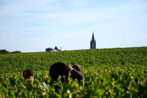Erkunde Saint-Émilion mit dem E-Bike: Kleingruppentour, Halbtagestour