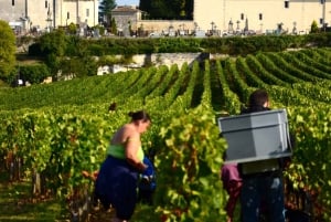Erkunde Saint-Émilion mit dem E-Bike: Kleingruppentour, Halbtagestour