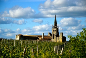 Erkunde Saint-Émilion mit dem E-Bike: Kleingruppentour, Halbtagestour