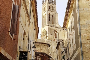 Bordeaux: Saint-Emilion Electric Bike Tour with Picnic Lunch