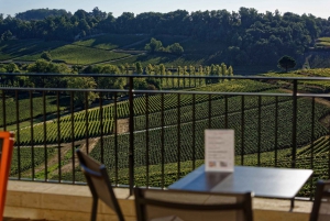 Saint-Emilion Grand Cru Classé: Gourmet Visit