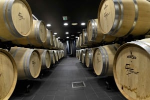 Saint-Émilion: Grand Cru Classé -viinitilan vierailu ja maistelu