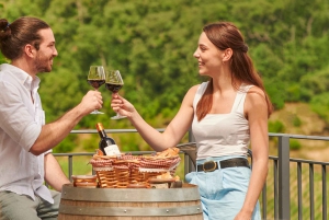 Saint-Emilion: Grand Cru Classé Guided Winery Visit & Picnic