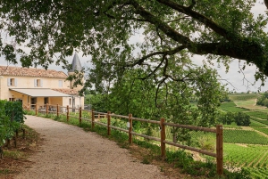 Saint-Emilion: Grand Cru Classé Guided Winery Visit & Picnic