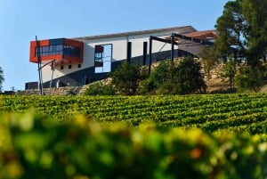 Saint-Émilion: Visita y cata de vinos Grand Cru Classé