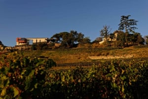 Saint Emilion: Guided Grand Cru Classé Winery Tour & Tasting