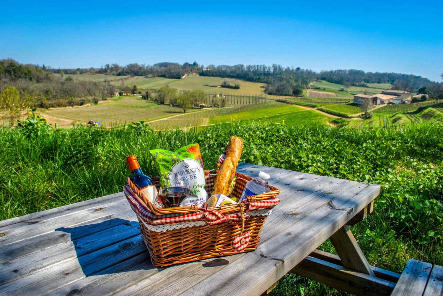 Saint-Emilion: Guided Winery Visits and Picnic