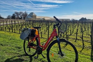 Saint Emilion Half Day Ebike and Wine Tour with Picnic