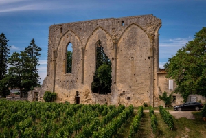 Saint Emilion - półdniowa wycieczka rowerowa i winiarska z piknikiem