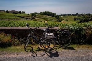 Visite d'une demi-journée de Saint Emilion à vélo et en voiture avec pique-nique