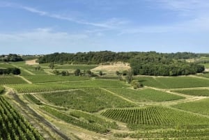 Saint-Emilion : half-day wine-tour into classified estates