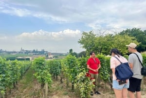 Saint-Émilion & Pomerol : Full day private tour classic car