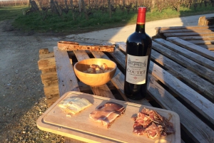 Au départ de Bordeaux : visite guidée de dégustation de vins de Saint-Emilion