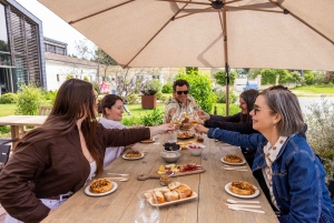 Passeio de bicicleta e vinho em Saint Emilion