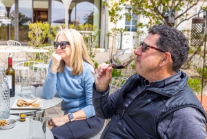 Passeio de bicicleta e vinho em Saint Emilion
