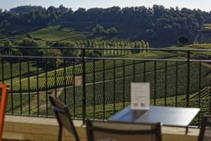 Saint-Emilion: Wine & Food Tasting at the Chateau’s Terrace
