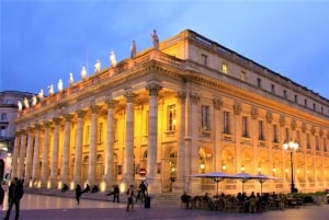 Wycieczka sensoryczna po Bordeaux i degustacja w winnicy