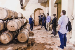 Small Group Bordeaux Winery Tour with Tastings and Lunch